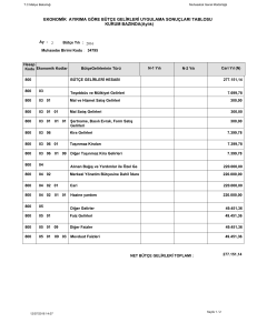 EKONOMİK AYIRIMA GÖRE BÜTÇE GELİRLERİ UYGULAMA