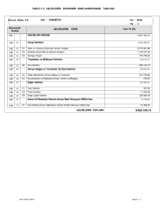 Gelirlerin Ekonomik Sınıflandırılması Tablosu