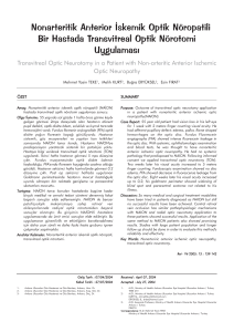 Nonarteritik Anterior İskemik Optik Nöropatili Bir - Retina