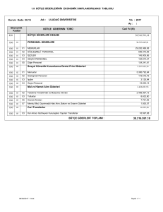 1.9 BÜTÇE GİDERLERİNİN EKONOMİK SINIFLANDIRILMASI