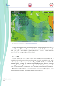 Çevre Orman Bakanlığının veritabanı incelendiğinde Uzungöl
