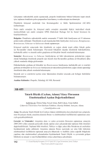 SB–055 Tatarlı Höyük (Ceyhan, Adana) Yüzey