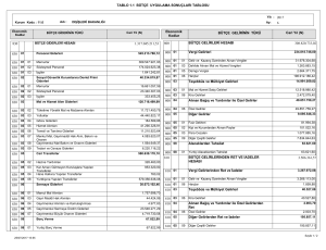 TABLO 1.1 BÜTÇE UYGULAMA SONUÇLARI TABLOSU 308.820