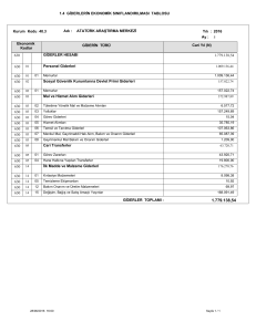 1.4 GİDERLERİN EKONOMİK