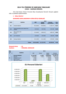 2014 Yılı Ocak-Haziran Dönemi Bütçe Raporu
