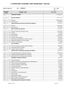 1.4 giderlerin ekonomik sınıflandırılması tablosu