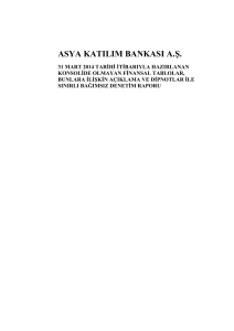 31 Mart 2014 Solo Bağımsız Denetim Raporu – BDDK