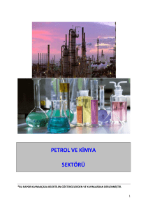 petrol ve kimya sektörü