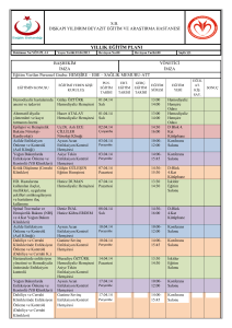yıllık eğitim planı