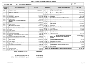 Tablo 1.1 Bütçe Uygulama sonuçları tablosu