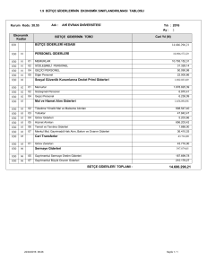 1.9 BÜTÇE GİDERLERİNİN EKONOMİK SINIFLANDIRILMASI