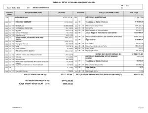 Bütçe Uygulama Sonuçları Tablosu