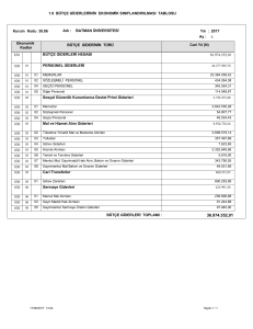 1.9 BÜTÇE GİDERLERİNİN EKONOMİK SINIFLANDIRILMASI