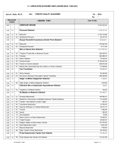 1.4 GİDERLERİN EKONOMİK SINIFLANDIRILMASI TABLOSU 630