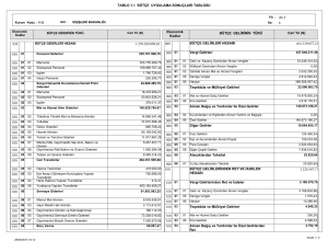 TABLO 1.1 BÜTÇE UYGULAMA SONUÇLARI TABLOSU 601.339