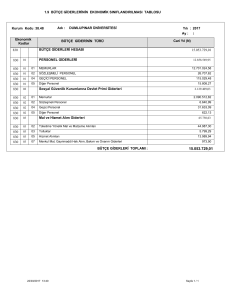 1.9 BÜTÇE GİDERLERİNİN EKONOMİK SINIFLANDIRILMASI