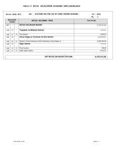 TABLO 1.5 BÜTÇE GELİRLERİNİN EKONOMİK