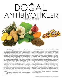 Doğal Antibiyotikler: Sarımsak, Kefir, Bro- koli