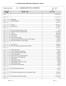 GİDERİN TÜRÜ Ekonomik Kodlar 630 630