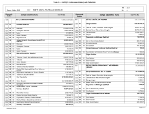 Tablo 1.1.Bütçe Uygulama Sonuçları