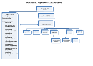 kalite yönetim çalışmaları organizasyon şeması