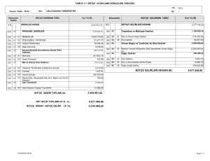 Tablo 1.1 Bütçe Uygulama sonuçları tablosu
