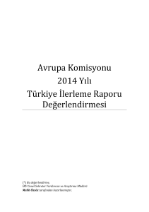Avrupa Komisyonu 2014 Yılı Türkiye İlerleme Raporu Değerlendirmesi