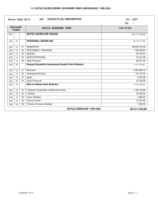 1.9 BÜTÇE GİDERLERİNİN EKONOMİK