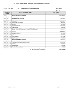 bütçe giderlerinin ekonomik sınıflandırılması tablosu