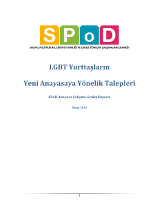 LGBT Yurttaşların Yeni Anayasaya Yönelik Talepleri