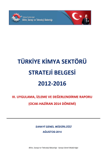 türkiye kimya sektörü strateji belgesi 2012-2016