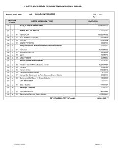 1.9 BÜTÇE GİDERLERİNİN EKONOMİK