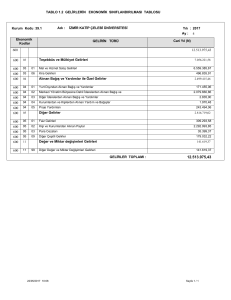 gelirlerin ekonomik sınıflandırılması tablosu