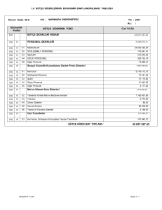 1.9 BÜTÇE GİDERLERİNİN EKONOMİK SINIFLANDIRILMASI