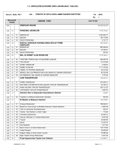 1.4 giderlerin ekonomik sınıflandırılması tablosu 630